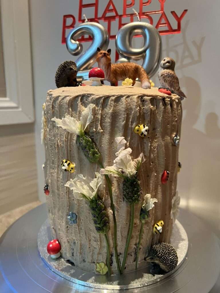 A photograph of a chocolate-orange cake slathered with butter cream and decorated with various woodland-themed objects.