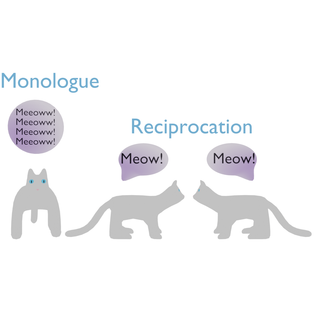 three meowing cats